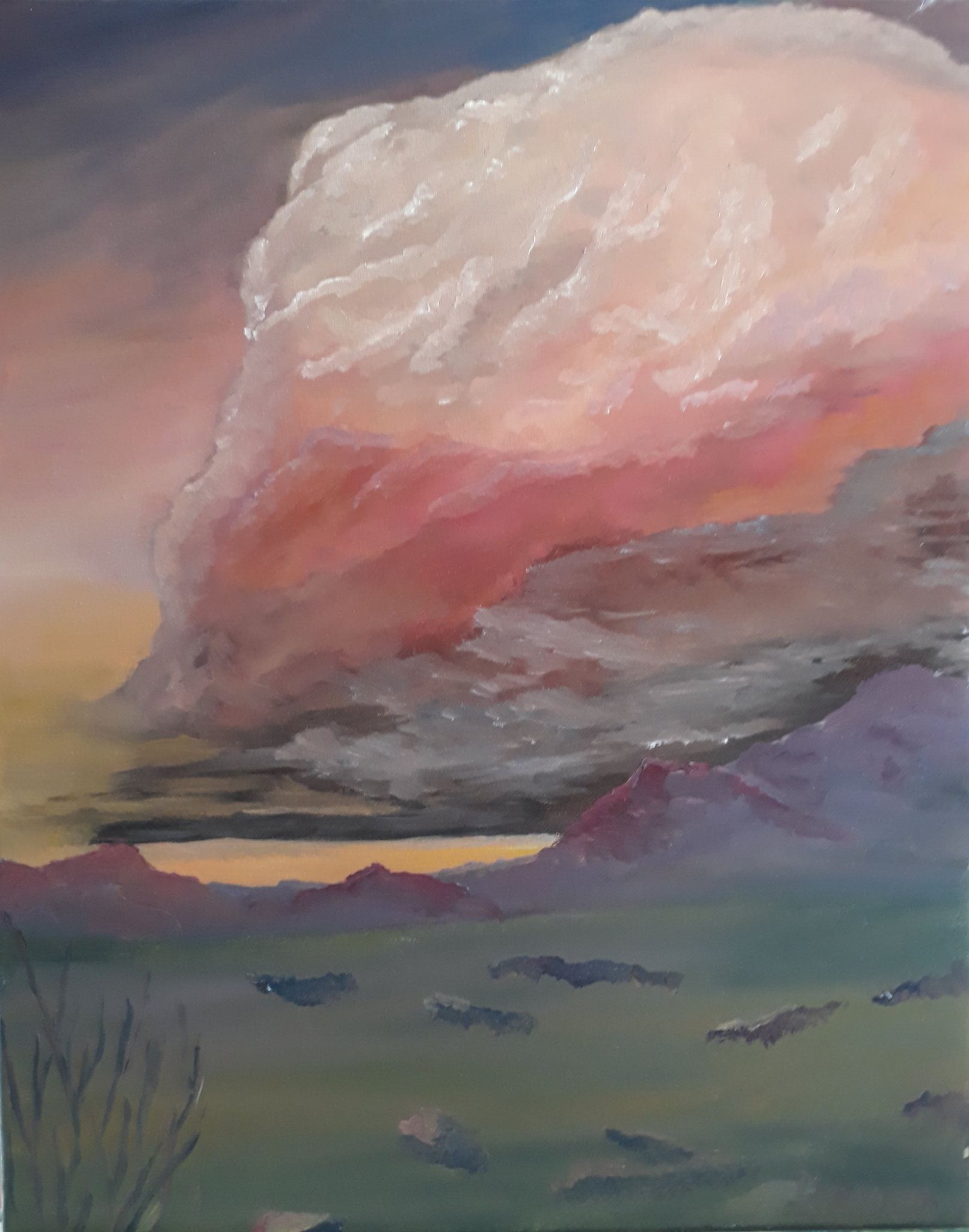 Storms in the Desert by Mason Cox