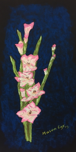 Pink Gladiolas by Mason Cox