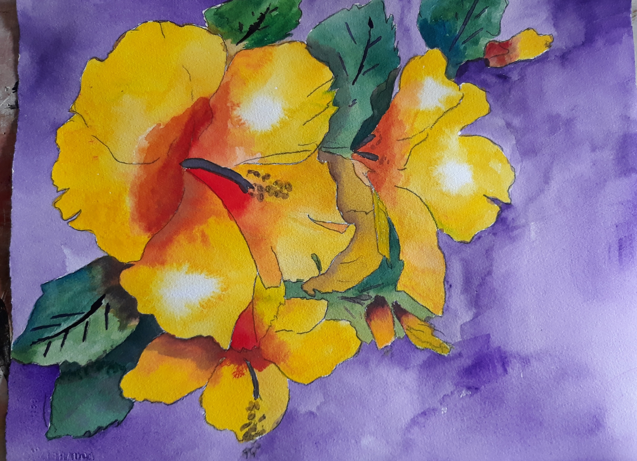 Golden Hibiscus by Mason Cox