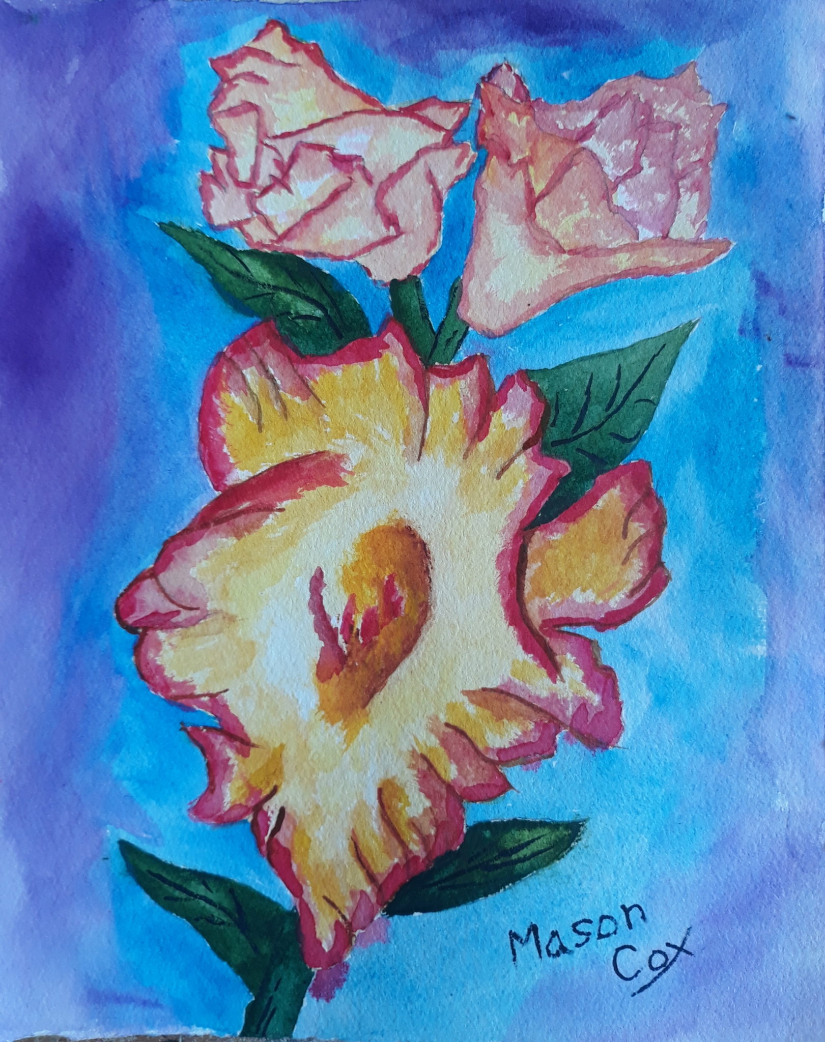 Yellow/Pink Gladiolus by Mason Cox