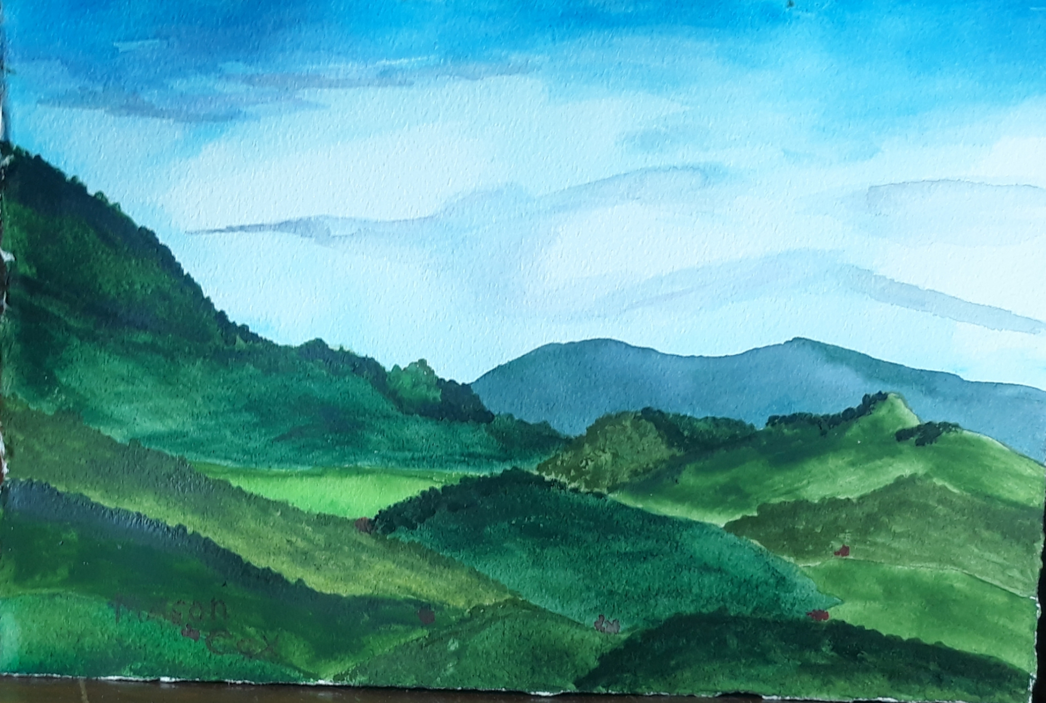 Hawaiian Mountains by Mason Cox