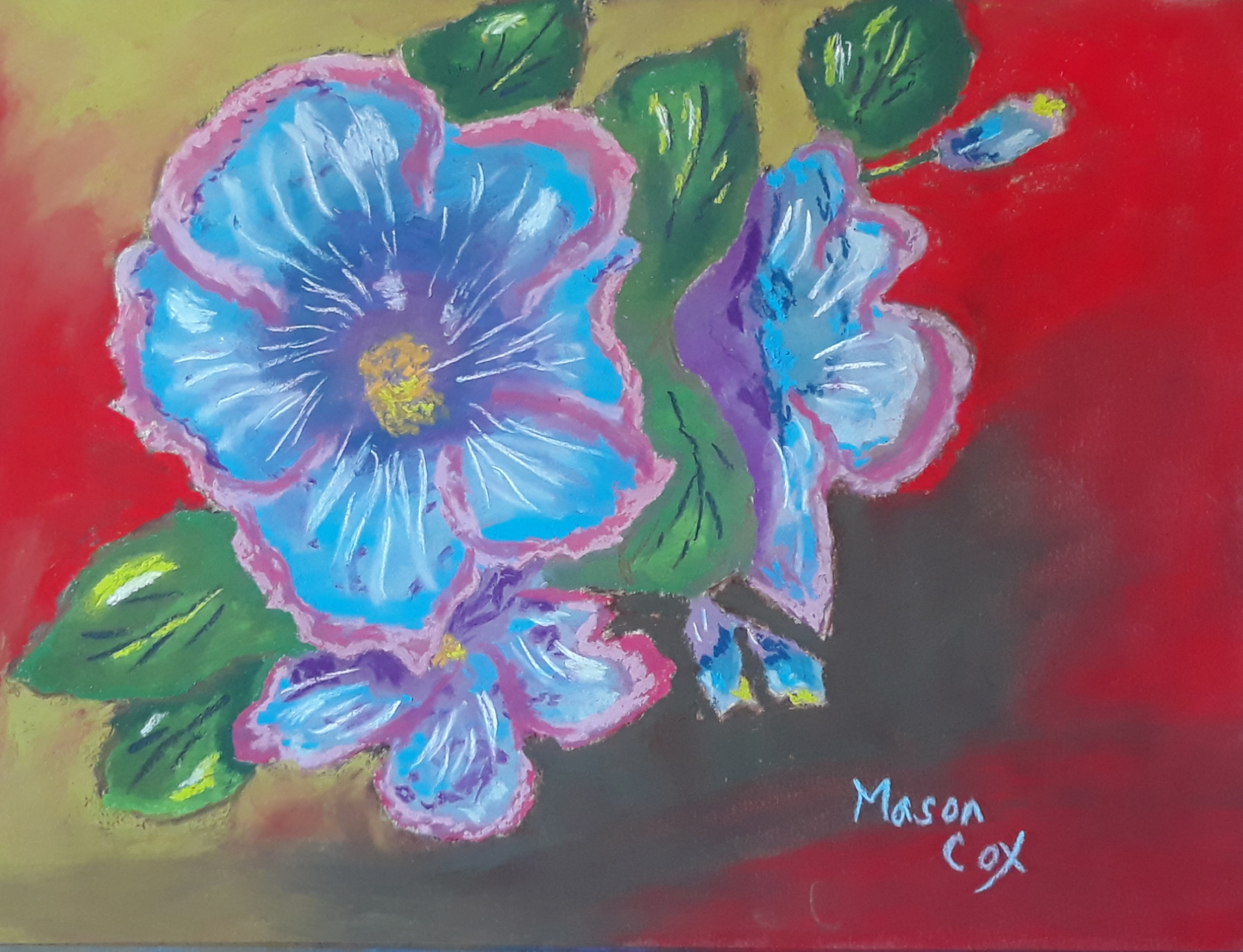 Blue Hibiscus by Mason Cox