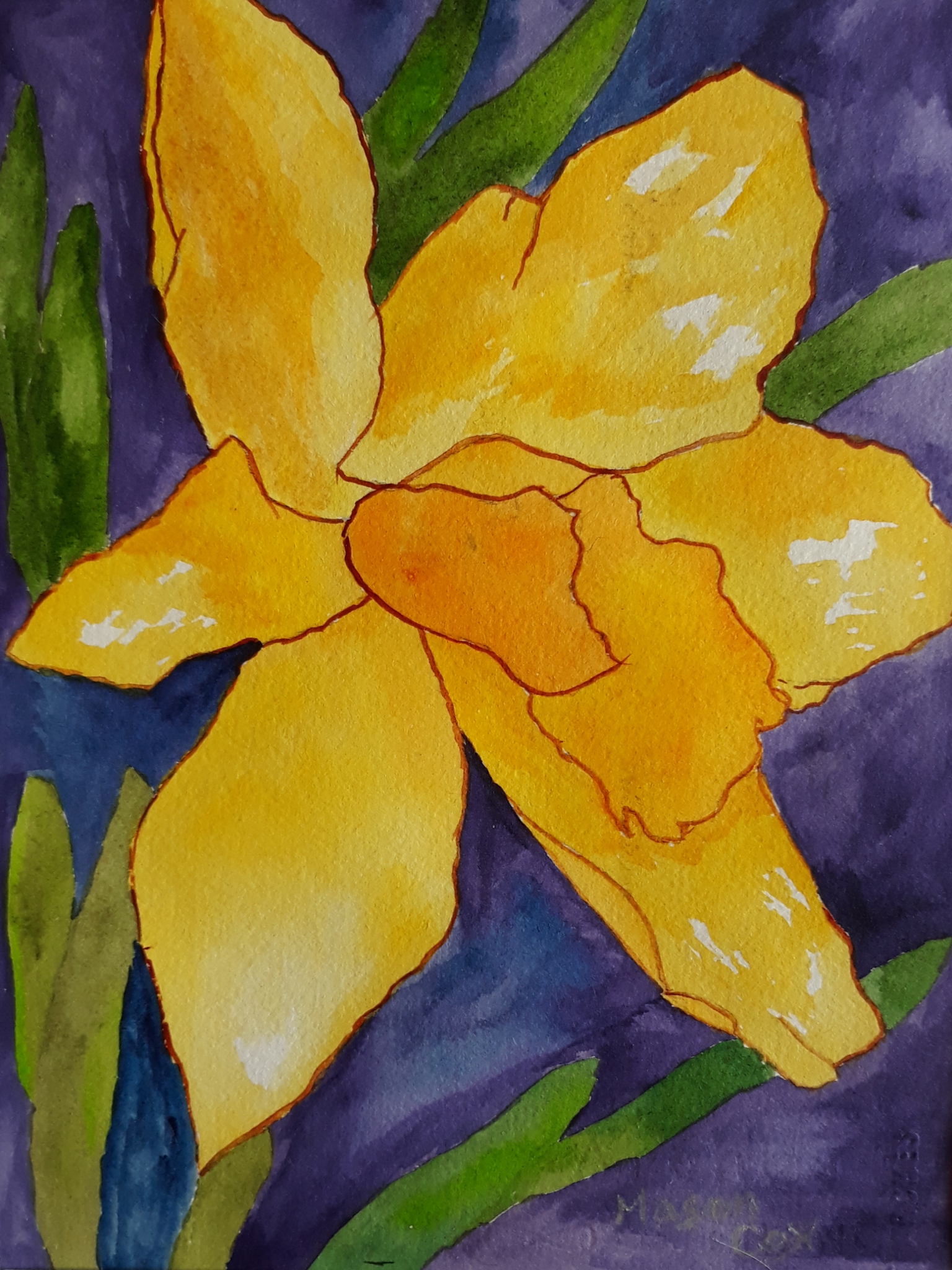 Yellow Daylilly by Mason Cox