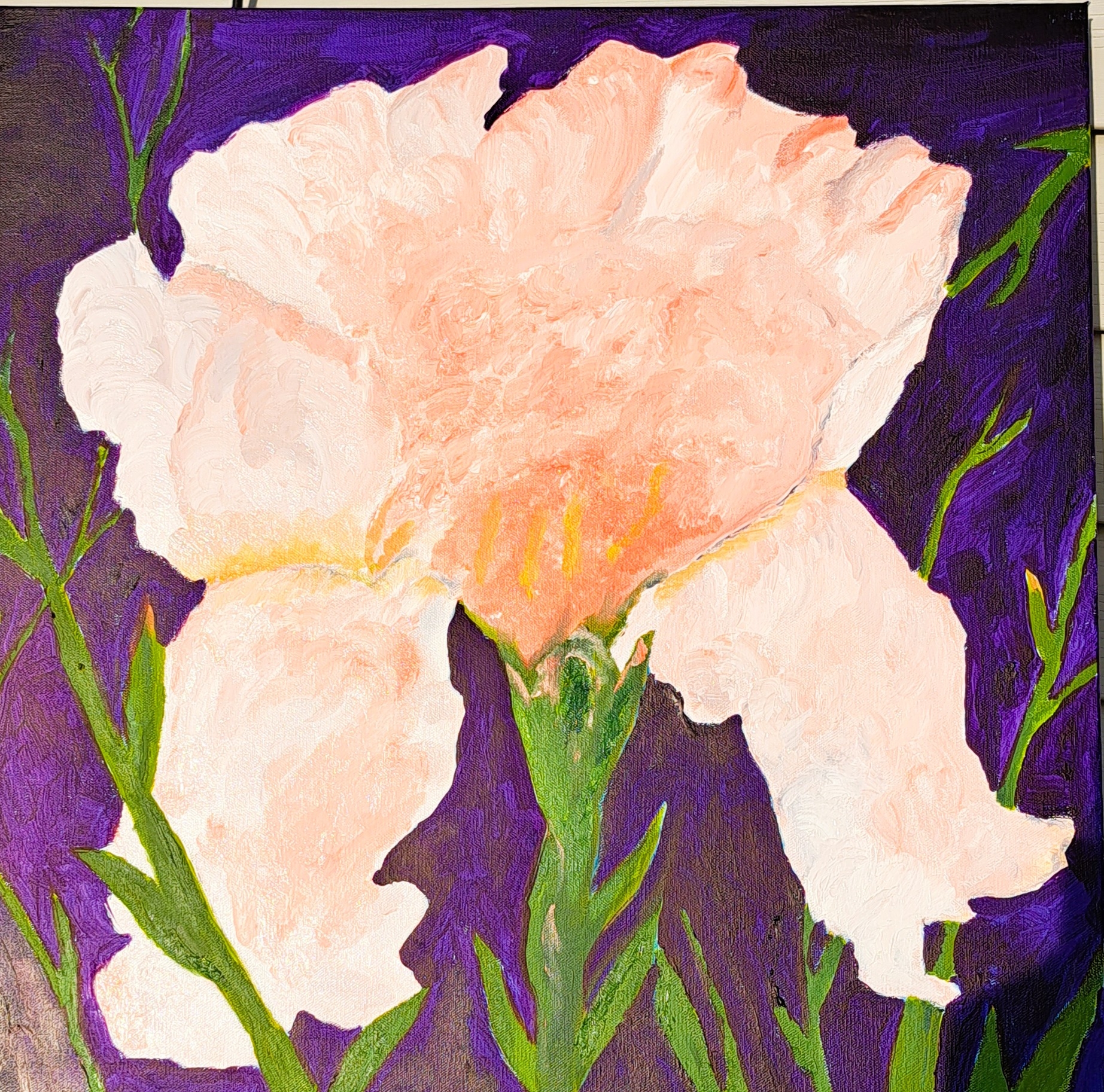 White Iris by Mason Cox