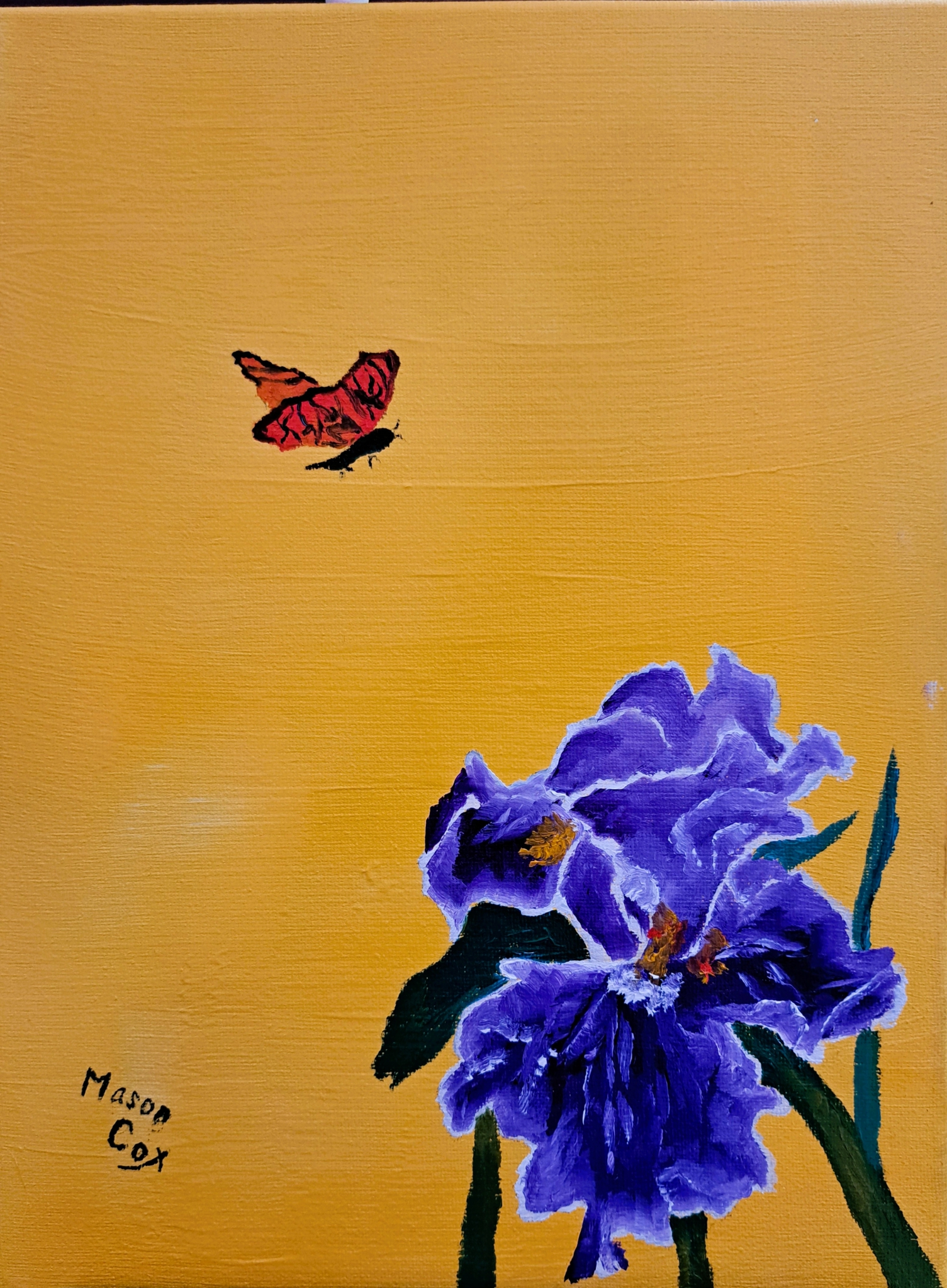 Purple Iris (yellow) by Mason Cox