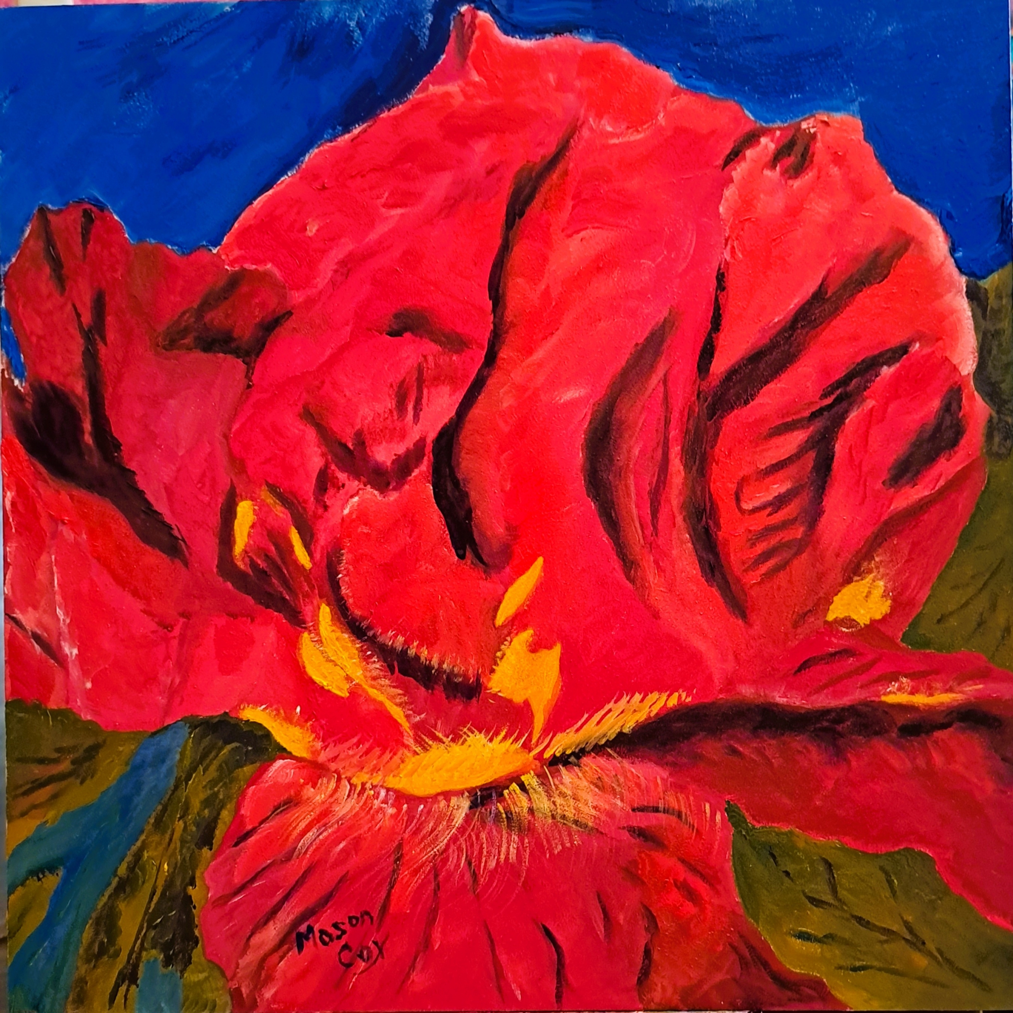 Red Iris by Mason Cox