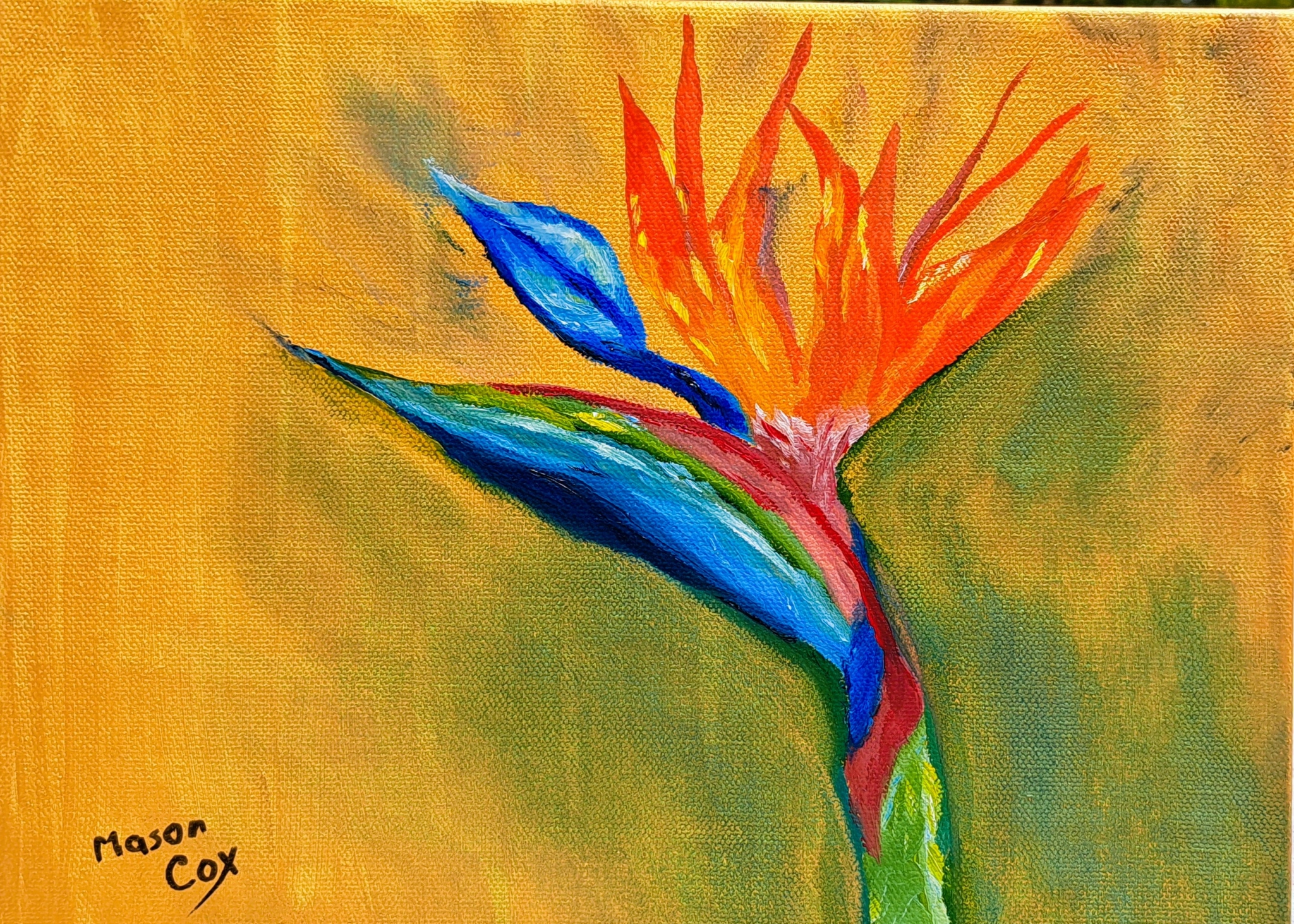 Bird of Paradise by Mason Cox