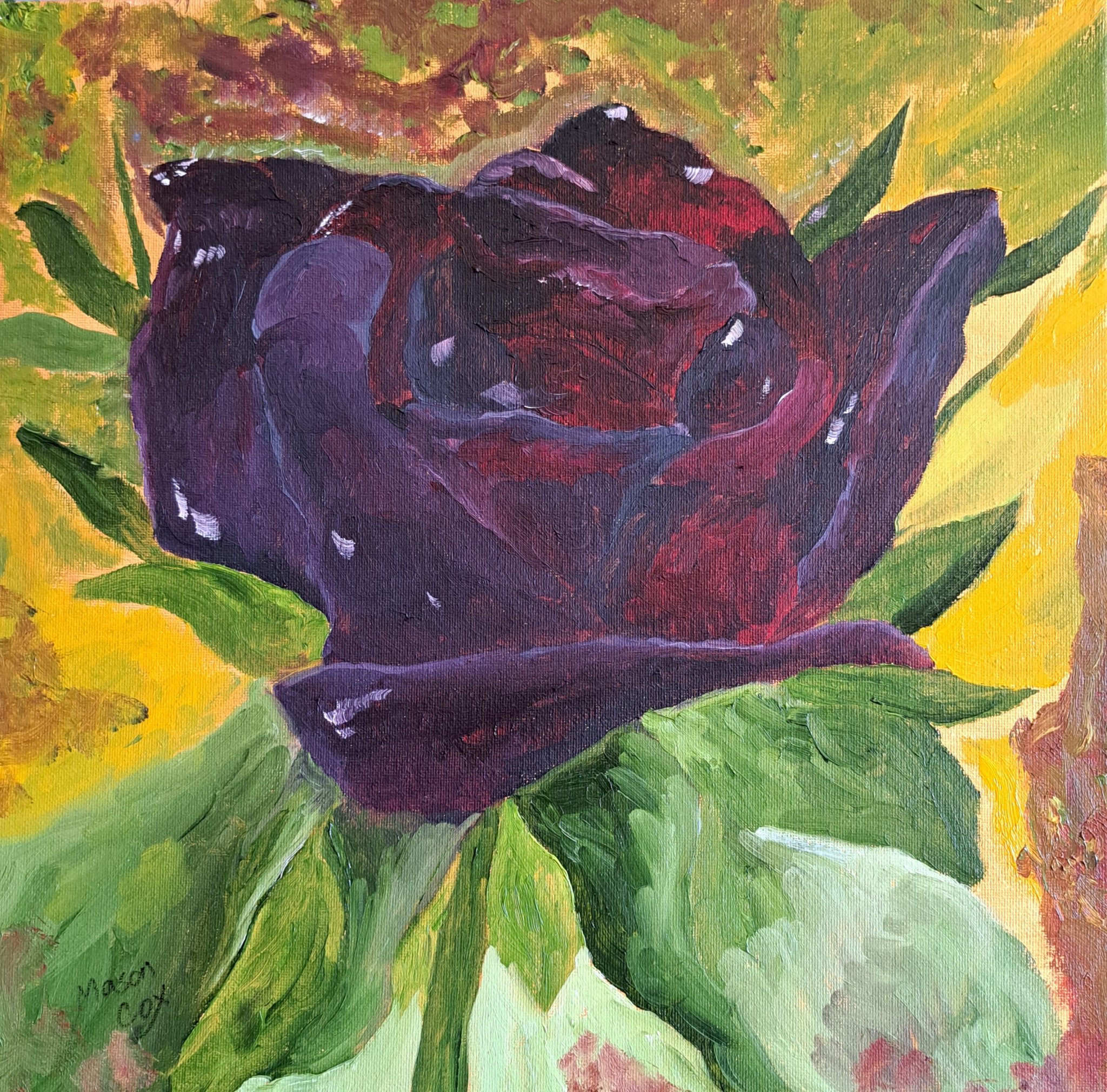 Black Rose by Mason Cox