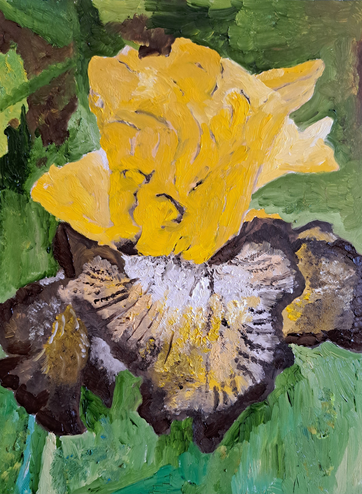Yellow/brown Iris by Mason Cox