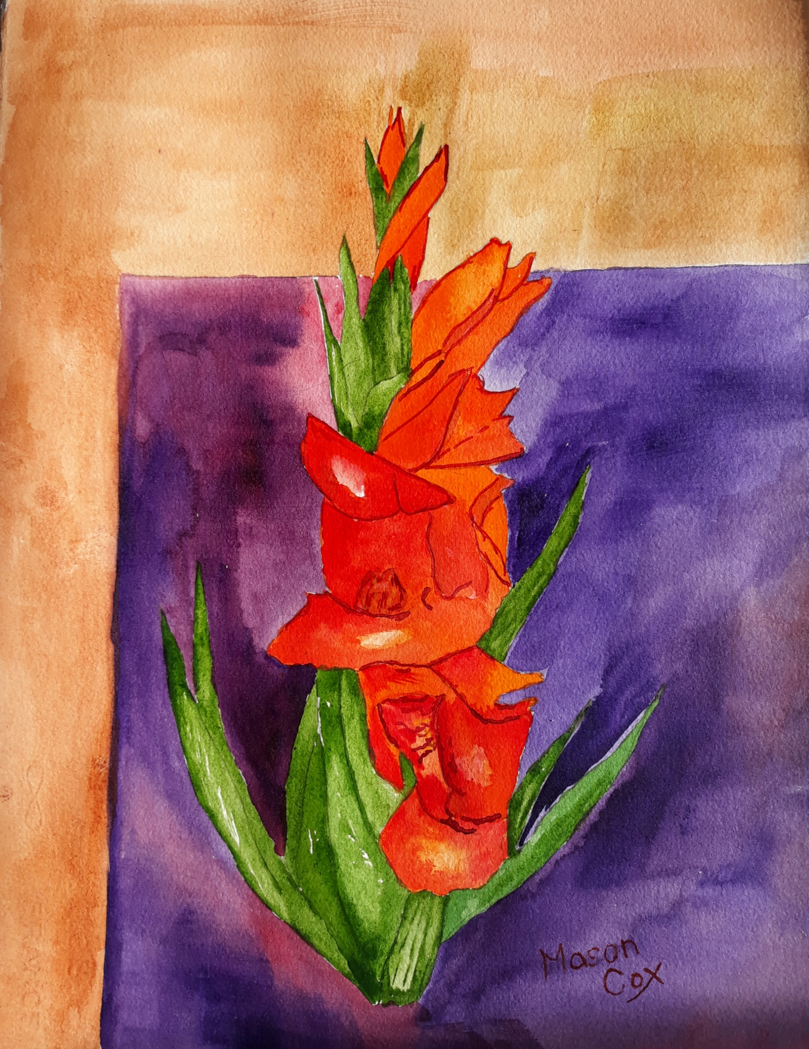 Orange Gladiolus by Mason Cox